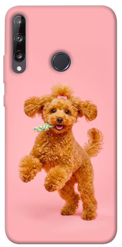 Чохол itsPrint Happy poodle для Huawei P40 Lite E / Y7p (2020), песики, купити оптом з доставкою