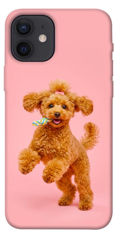 Чохол itsPrint Happy poodle для Apple iPhone 12 Pro (6.1"), песики, купити оптом з доставкою