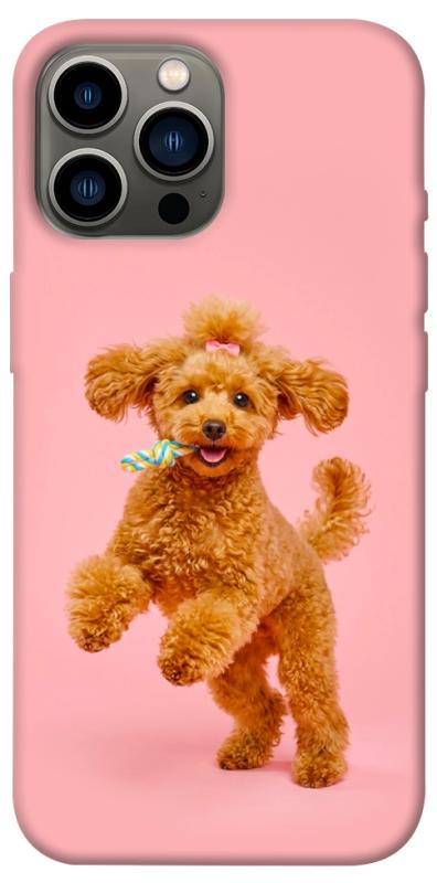 Чохол itsPrint Happy poodle для Apple iPhone 12 Pro Max (6.7"), песики, купити оптом з доставкою