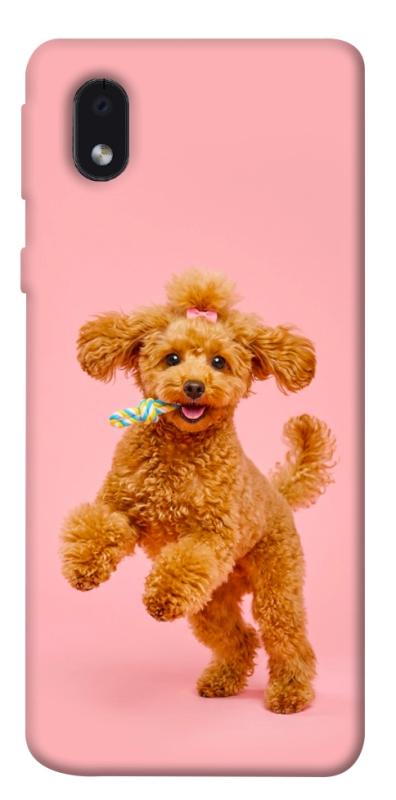 Чехол itsPrint Happy poodle для Samsung Galaxy M01 Core / A01 Core, песики, купить оптом с доставкой