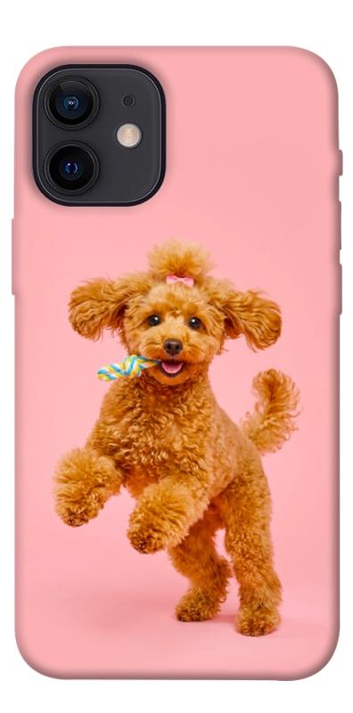 Чохол itsPrint Happy poodle для Apple iPhone 12 mini (5.4"), песики, купити оптом з доставкою