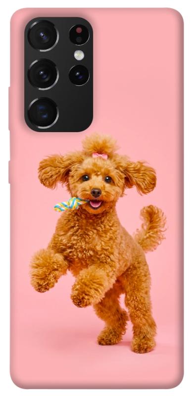 Чохол itsPrint Happy poodle для Samsung Galaxy S21 Ultra, песики, купити оптом з доставкою