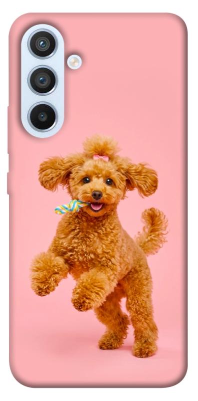 Чохол itsPrint Happy poodle для Samsung Galaxy A54 5G, песики, купити оптом з доставкою