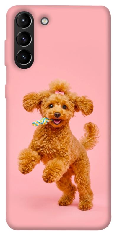 Чохол itsPrint Happy poodle для Samsung Galaxy S21+, песики, купити оптом з доставкою