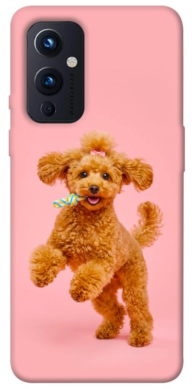 Чохол itsPrint Happy poodle для OnePlus 9, песики, купити оптом з доставкою