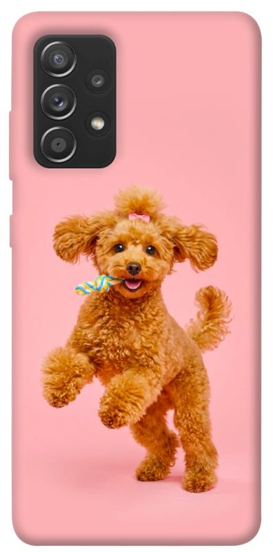 Чохол itsPrint Happy poodle для Samsung Galaxy A72 4G / A72 5G, песики, купити оптом з доставкою
