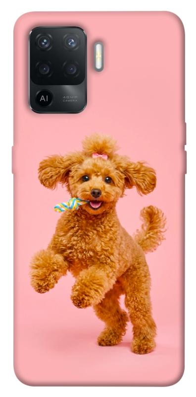 Чохол itsPrint Happy poodle для Oppo Reno 5 Lite, песики, купити оптом з доставкою