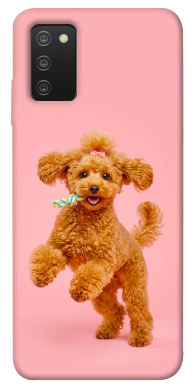 Чохол itsPrint Happy poodle для Samsung Galaxy A03s, песики, купити оптом з доставкою