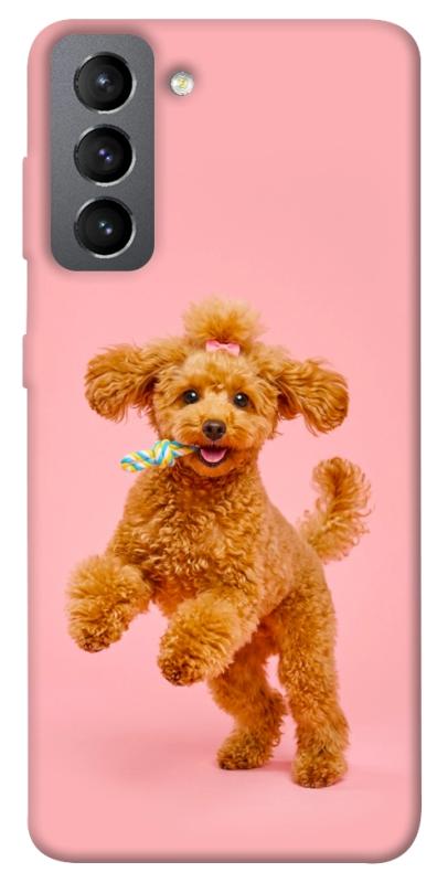 Чохол itsPrint Happy poodle для Samsung Galaxy S21 FE, песики, купити оптом з доставкою