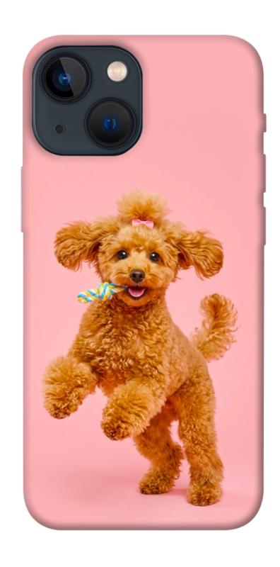 Чохол itsPrint Happy poodle для Apple iPhone 13 mini (5.4"), песики, купити оптом з доставкою