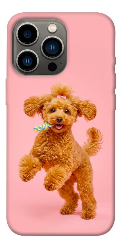 Чохол itsPrint Happy poodle для Apple iPhone 13 Pro (6.1"), песики, купити оптом з доставкою