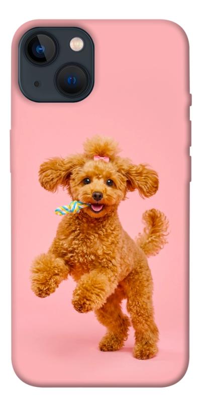 Чохол itsPrint Happy poodle для Apple iPhone 13 (6.1"), песики, купити оптом з доставкою