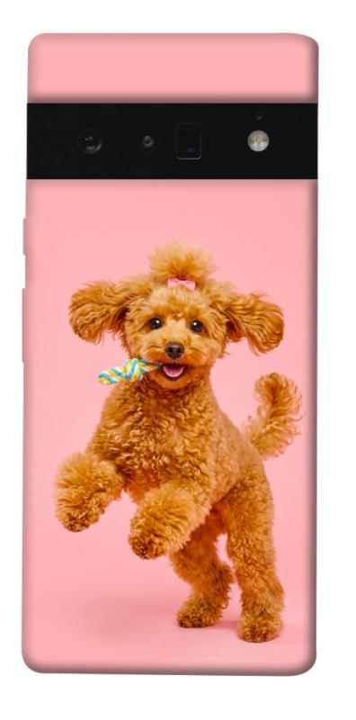 Чохол itsPrint Happy poodle для Google Pixel 6 Pro, песики, купити оптом з доставкою