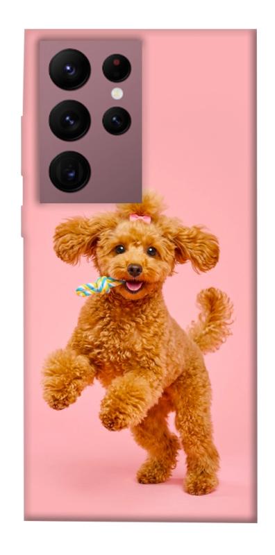 Чохол itsPrint Happy poodle для Samsung Galaxy S22 Ultra, песики, купити оптом з доставкою