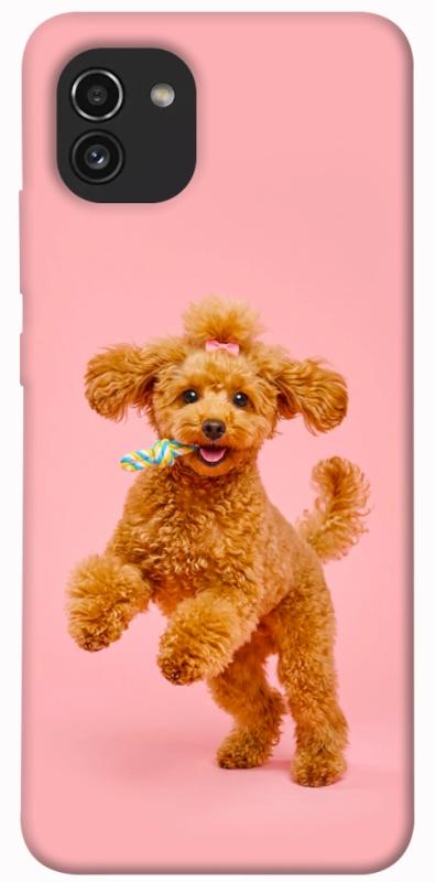 Чохол itsPrint Happy poodle для Samsung Galaxy A03, песики, купити оптом з доставкою