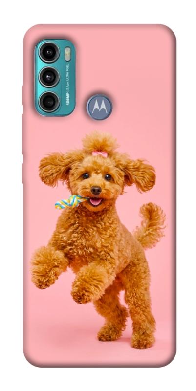 Чехол itsPrint Happy poodle для Motorola Moto G60, песики, купить оптом с доставкой