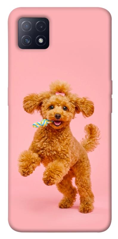 Чохол itsPrint Happy poodle для Oppo A72 5G / A73 5G, песики, купити оптом з доставкою