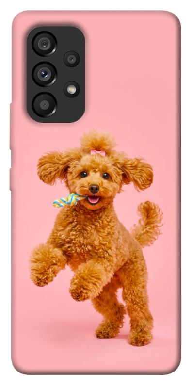 Чохол itsPrint Happy poodle для Samsung Galaxy A53 5G, песики, купити оптом з доставкою