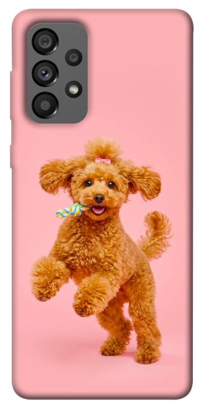 Чехол itsPrint Happy poodle для Samsung Galaxy A73 5G, песики, купить оптом с доставкой