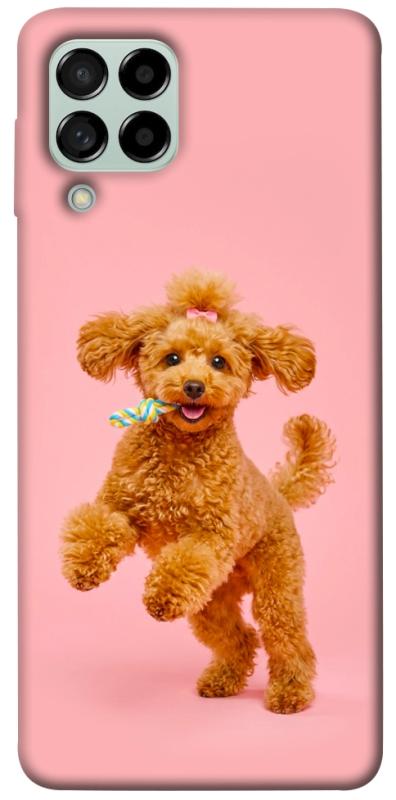 Чохол itsPrint Happy poodle для Samsung Galaxy M53 5G, песики, купити оптом з доставкою