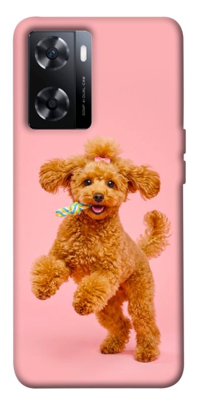 Чохол itsPrint Happy poodle для OnePlus Nord N20 SE, песики, купити оптом з доставкою