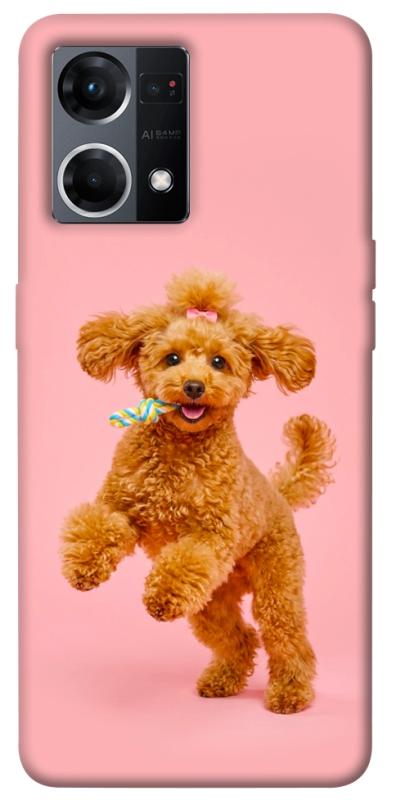 Чохол itsPrint Happy poodle для Oppo Reno 7 4G, песики, купити оптом з доставкою