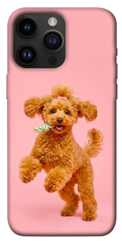 Чохол itsPrint Happy poodle для Apple iPhone 14 Pro Max (6.7"), песики, купити оптом з доставкою