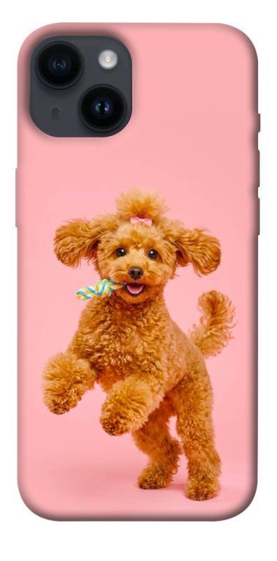 Чохол itsPrint Happy poodle для Apple iPhone 14 (6.1"), песики, купити оптом з доставкою