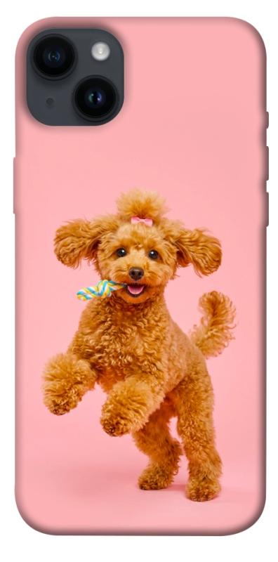 Чохол itsPrint Happy poodle для Apple iPhone 14 Plus (6.7"), песики, купити оптом з доставкою