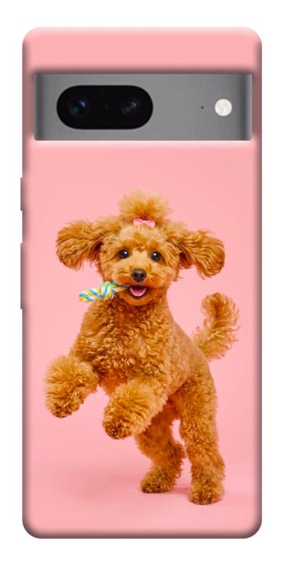 Чехол itsPrint Happy poodle для Google Pixel 7, песики, купить оптом с доставкой