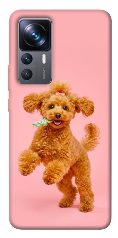 Чохол itsPrint Happy poodle для Xiaomi 12T / 12T Pro, песики, купити оптом з доставкою
