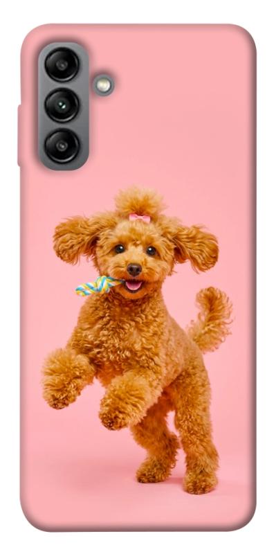 Чохол itsPrint Happy poodle для Samsung Galaxy A04s, песики, купити оптом з доставкою