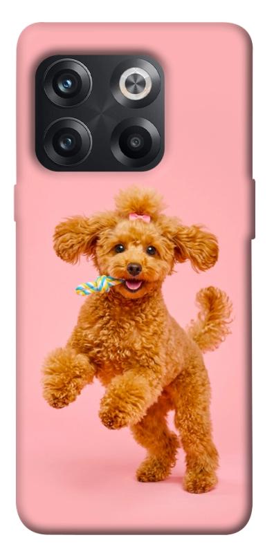 Чохол itsPrint Happy poodle для OnePlus 10T, песики, купити оптом з доставкою