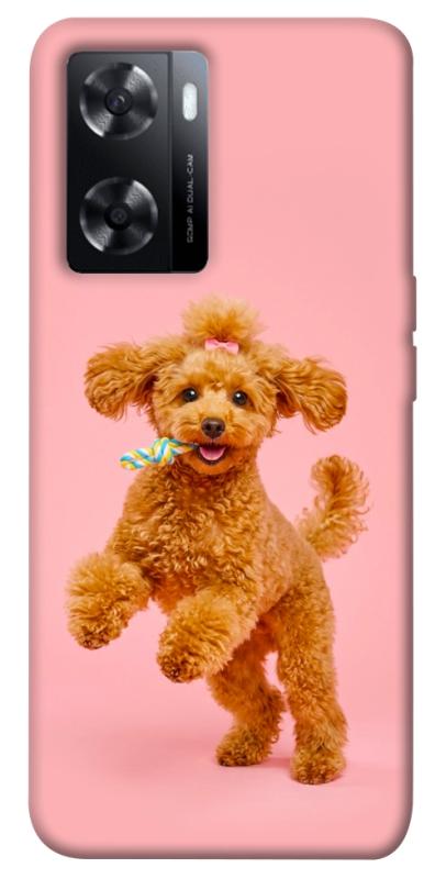 Чохол itsPrint Happy poodle для Oppo A57s, песики, купити оптом з доставкою
