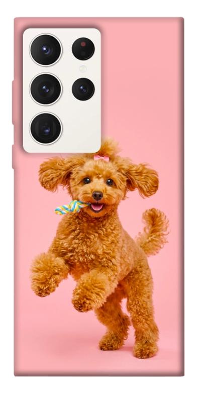 Чохол itsPrint Happy poodle для Samsung Galaxy S23 Ultra, песики, купити оптом з доставкою