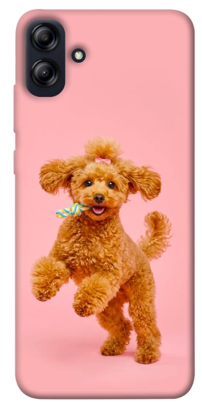 Чохол itsPrint Happy poodle для Samsung Galaxy A04e, песики, купити оптом з доставкою