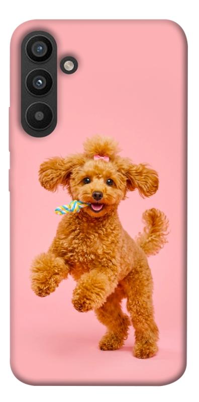 Чехол itsPrint Happy poodle для Samsung Galaxy A34 5G, песики, купить оптом с доставкой