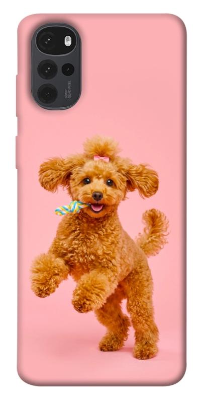 Чехол itsPrint Happy poodle для Motorola Moto G22, песики, купить оптом с доставкой