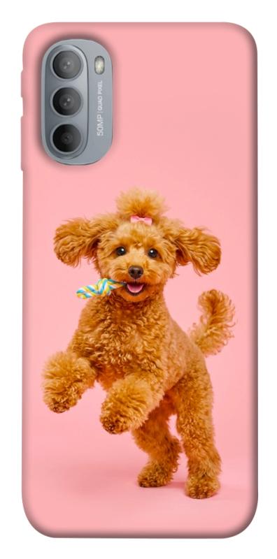 Чехол itsPrint Happy poodle для Motorola Moto G31, песики, купить оптом с доставкой