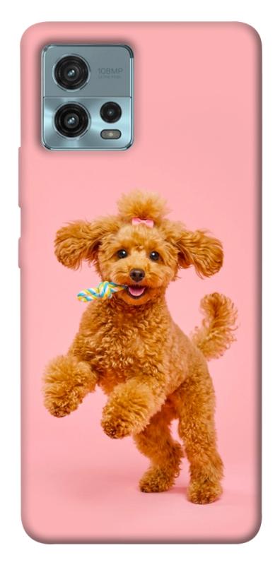Чохол itsPrint Happy poodle для Motorola Moto G72, песики, купити оптом з доставкою