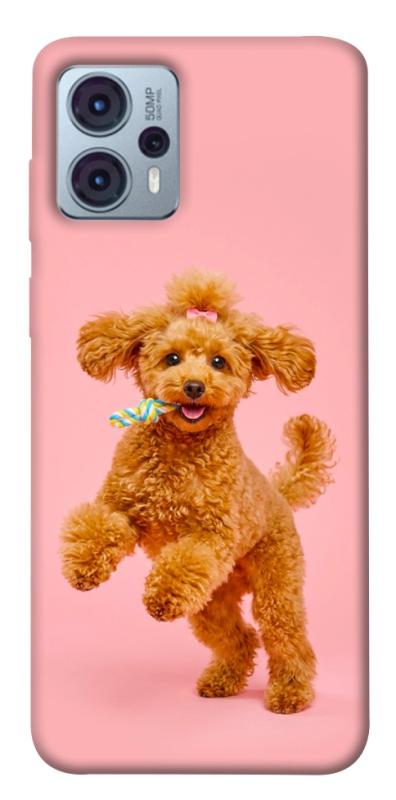 Чехол itsPrint Happy poodle для Motorola Moto G23, песики, купить оптом с доставкой