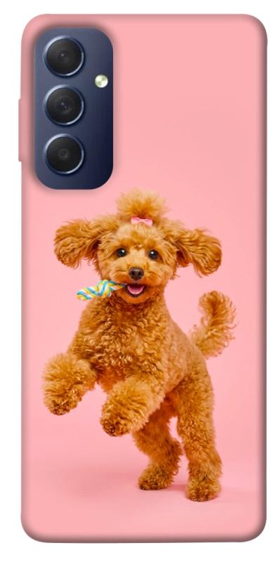 Чехол itsPrint Happy poodle для Samsung Galaxy M54 5G, песики, купить оптом с доставкой