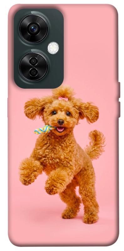 Чохол itsPrint Happy poodle для OnePlus Nord CE 3 Lite, песики, купити оптом з доставкою