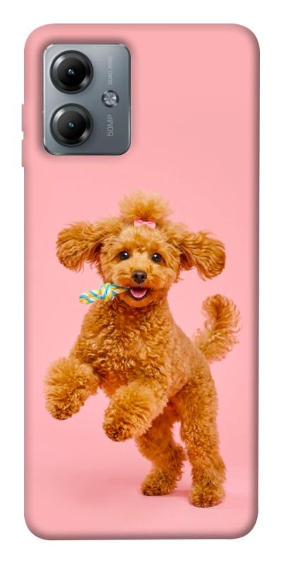 Чехол itsPrint Happy poodle для Motorola Moto G14, песики, купить оптом с доставкой