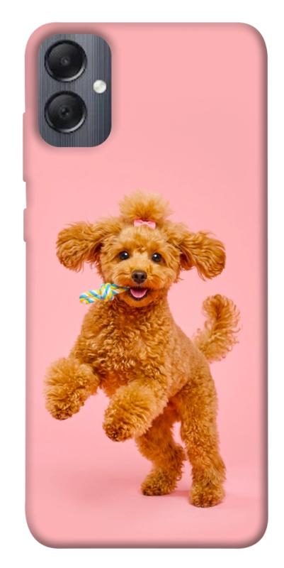 Чохол itsPrint Happy poodle для Samsung Galaxy A05, песики, купити оптом з доставкою