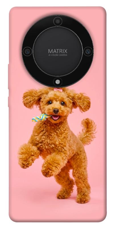 Чохол itsPrint Happy poodle для Huawei Magic5 Lite, песики, купити оптом з доставкою
