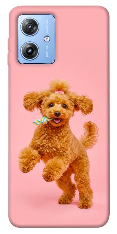 Чехол itsPrint Happy poodle для Motorola Moto G84, песики, купить оптом с доставкой