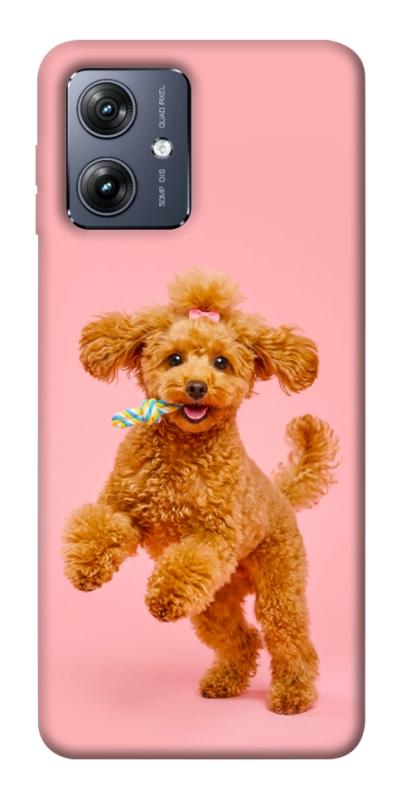 Чехол itsPrint Happy poodle для Motorola Moto G54, песики, купить оптом с доставкой