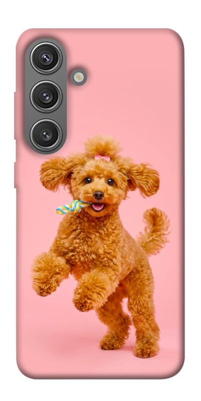 Чехол itsPrint Happy poodle для Samsung Galaxy S24+, песики, купить оптом с доставкой