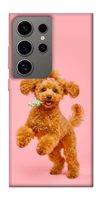 Чохол itsPrint Happy poodle для Samsung Galaxy S24 Ultra, песики, купити оптом з доставкою